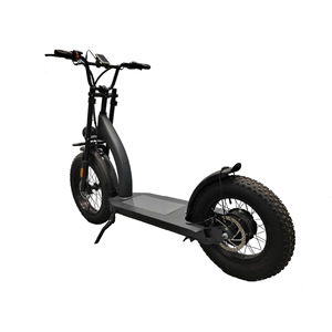 750wモーター<span class=keywords><strong>16</strong></span>インチスノー電動スクーターオフロードデュアルドライブ電動スクーター