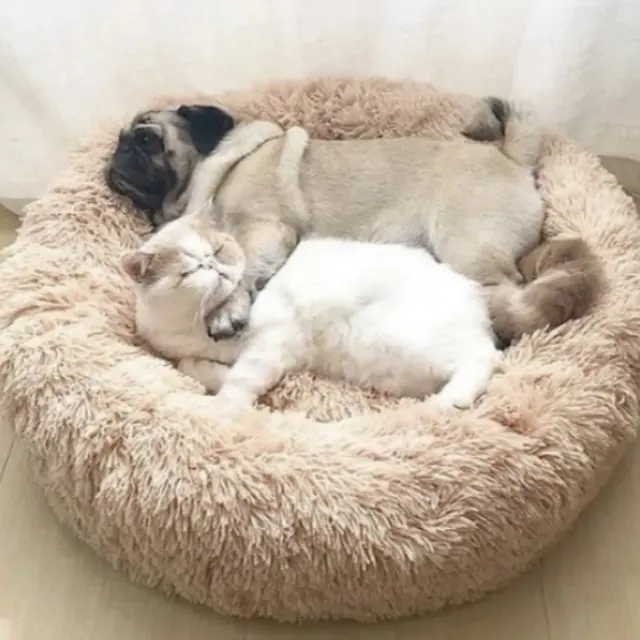 Tempat tidur hewan peliharaan donat bulat kualitas tinggi buatan Tolor untuk kucing berbagai ukuran tempat tidur anjing dan kucing warna-warni