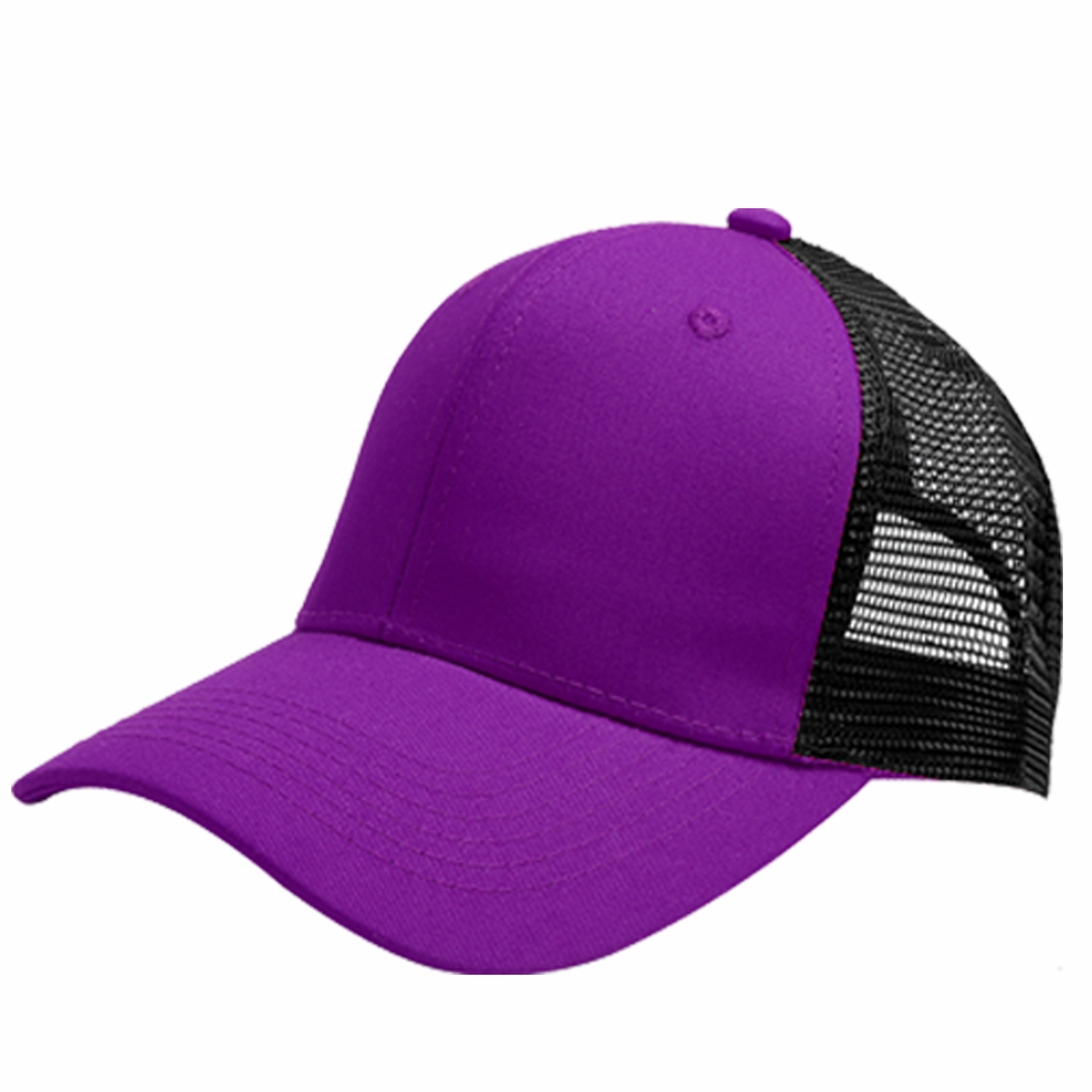 Pourpre