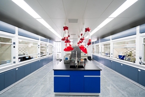 Servizi di preparazione e test di conformità MSDS professionali (scheda dati di sicurezza dei materiali) - Product Image 6