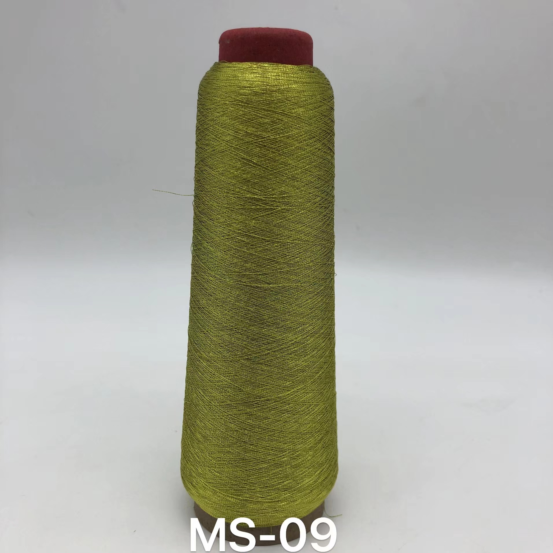 MS-09 เอ็มเอส-09