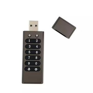 加密USB 2.0/3.0 u盘自毁防盗安全连续输入错误密码10倍棒笔金属 - Product Image 4