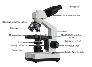 Microscopio biológico de enseñanza de laboratorio profesional con luz LED para microscopio electrónico de investigación de laboratorio escolar - Product Image 5