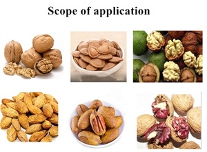 厂家价格核桃剥皮机核桃剥壳机 - Product Image 4