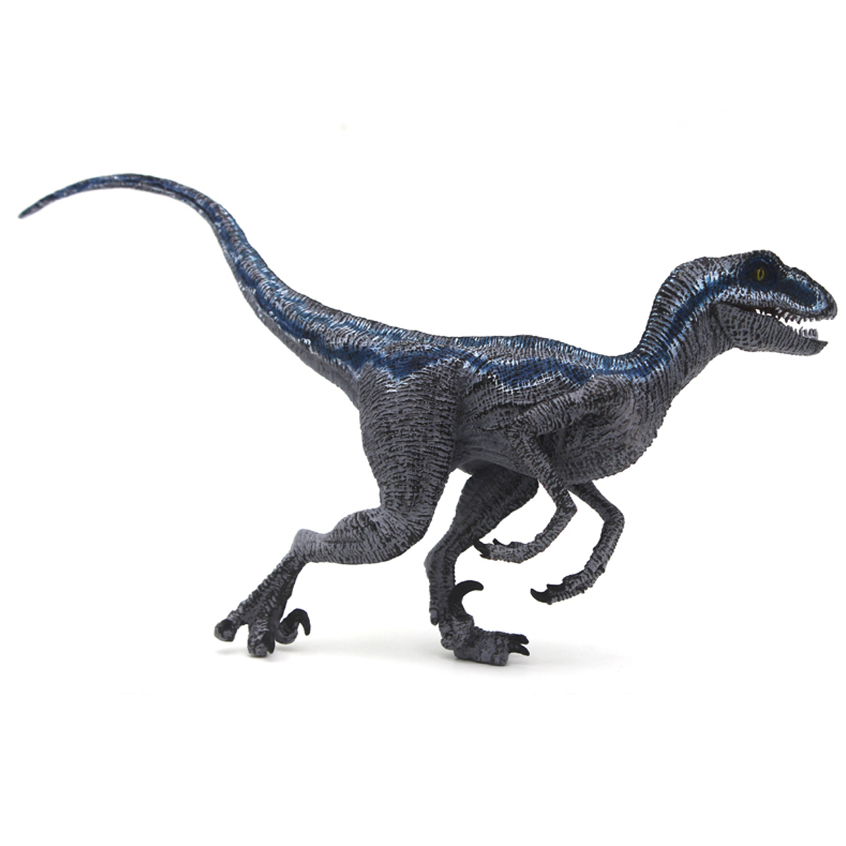 Blue Velociraptor