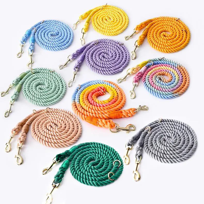 Vente en gros multicolore couleur arc-en-ciel tressé coton ombré mains libres chien corde laisse Double têtes tout en un chien de marche laisse