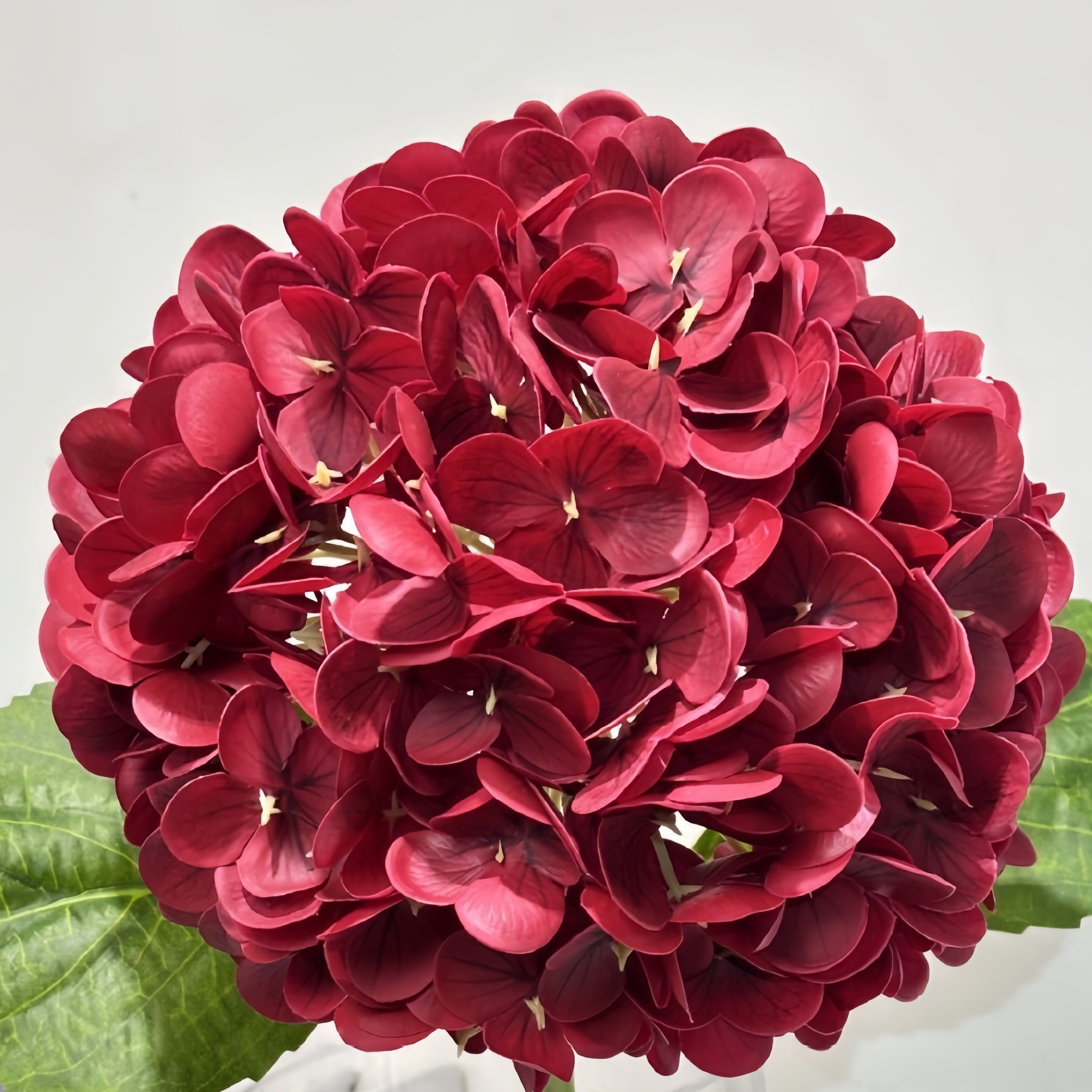 Rosso