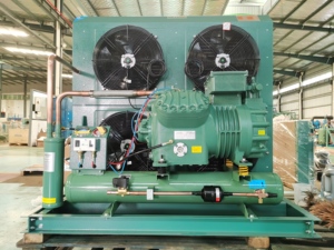 2024 Factory Fast Cooling <strong>Speed</strong> Germany <strong>Air</strong> <strong>Cooled</strong> Compressor Condensing Unit for Cooling System Blast <strong>Chiller</strong>