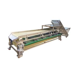 Selezionatrice automatica della data rossa frutta fresca classificazione dell'arancia verdura piccola selezionatrice della noce del dado di smistamento della patata in vendita - Product Image 2