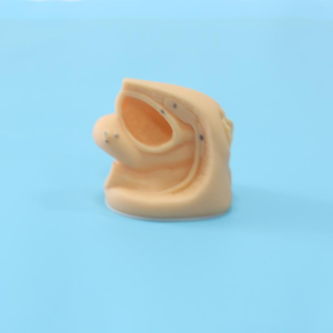 BIX-H6D Female Medical Anatomical 3D Model for Training Genitalis Urethral Catheterization Simulator Medical Science <strong>Human</strong> Model - Product Image 3