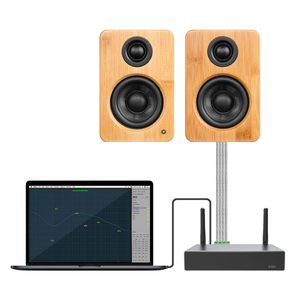 Arylic A50 + HIFI WIFIワイヤレスオーディオホームシアターシステムステレオフルデジタルクラスDプロフェッショナルオーディオパワーアンプ