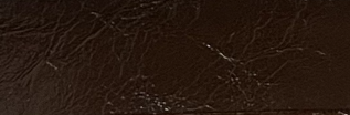 8025 #