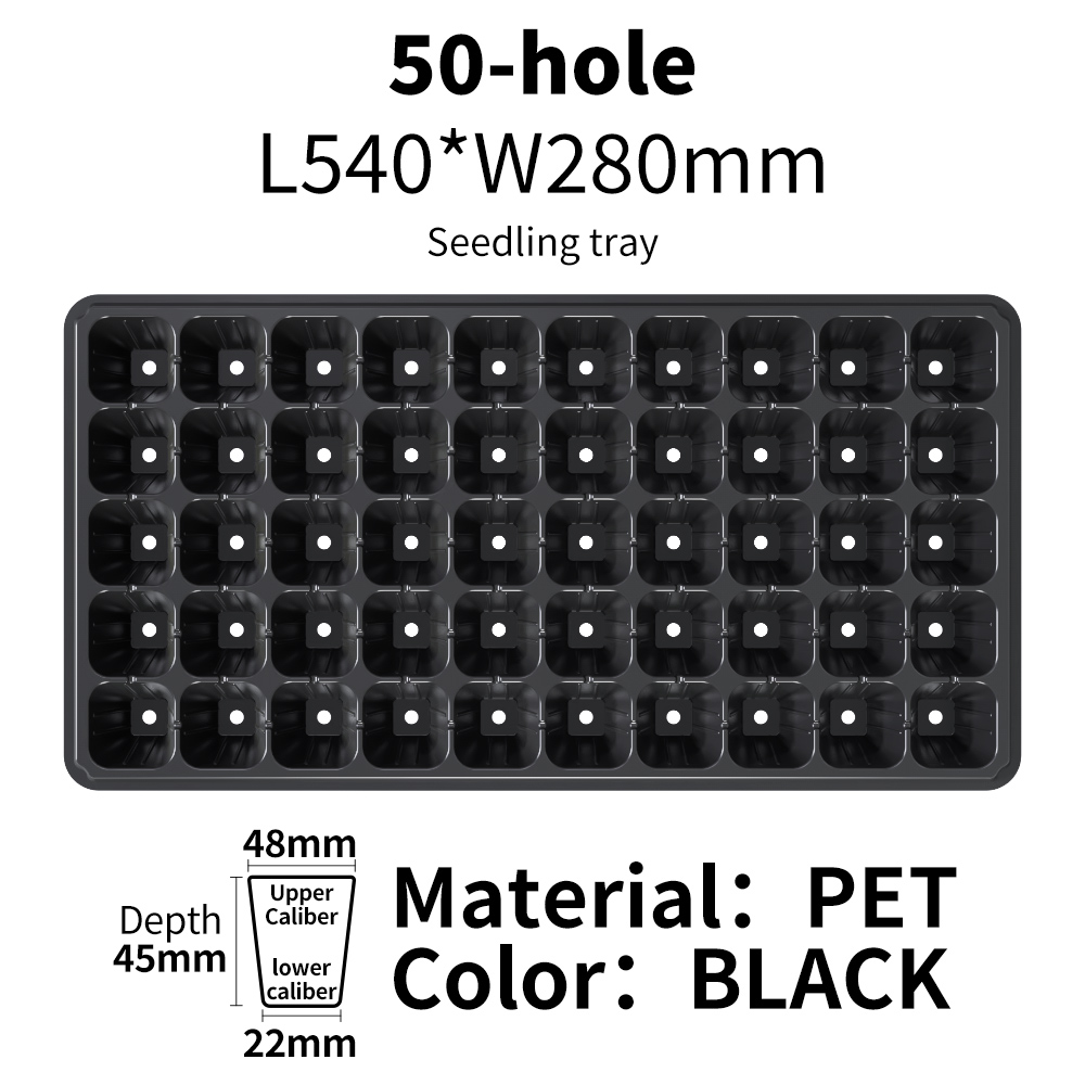 Noir 50 cellules standard