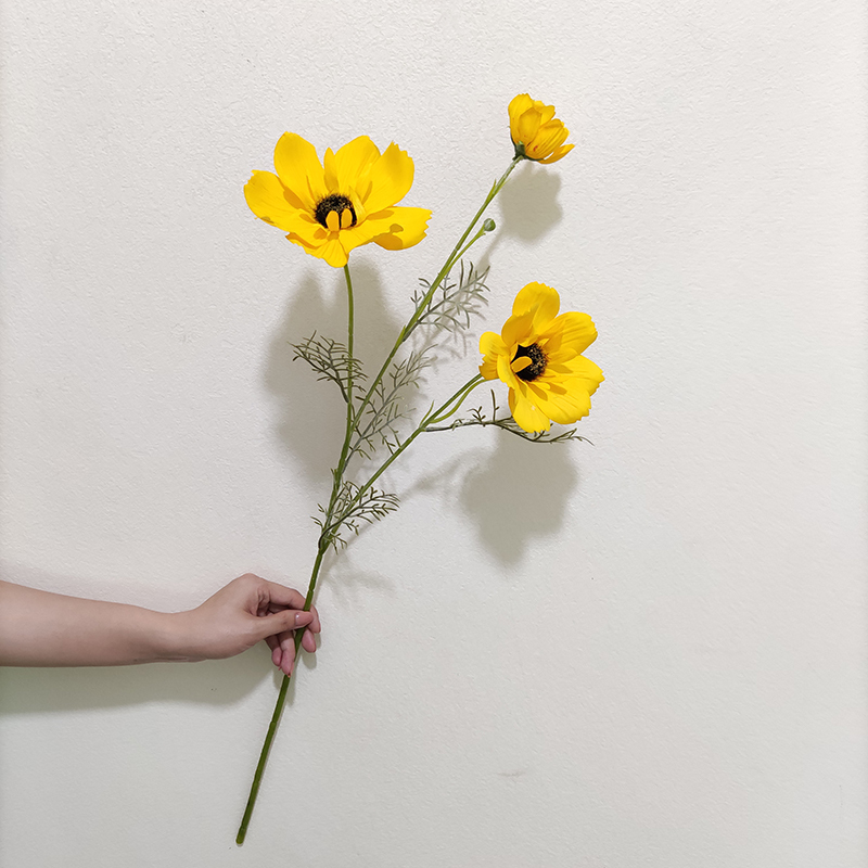 Jaune