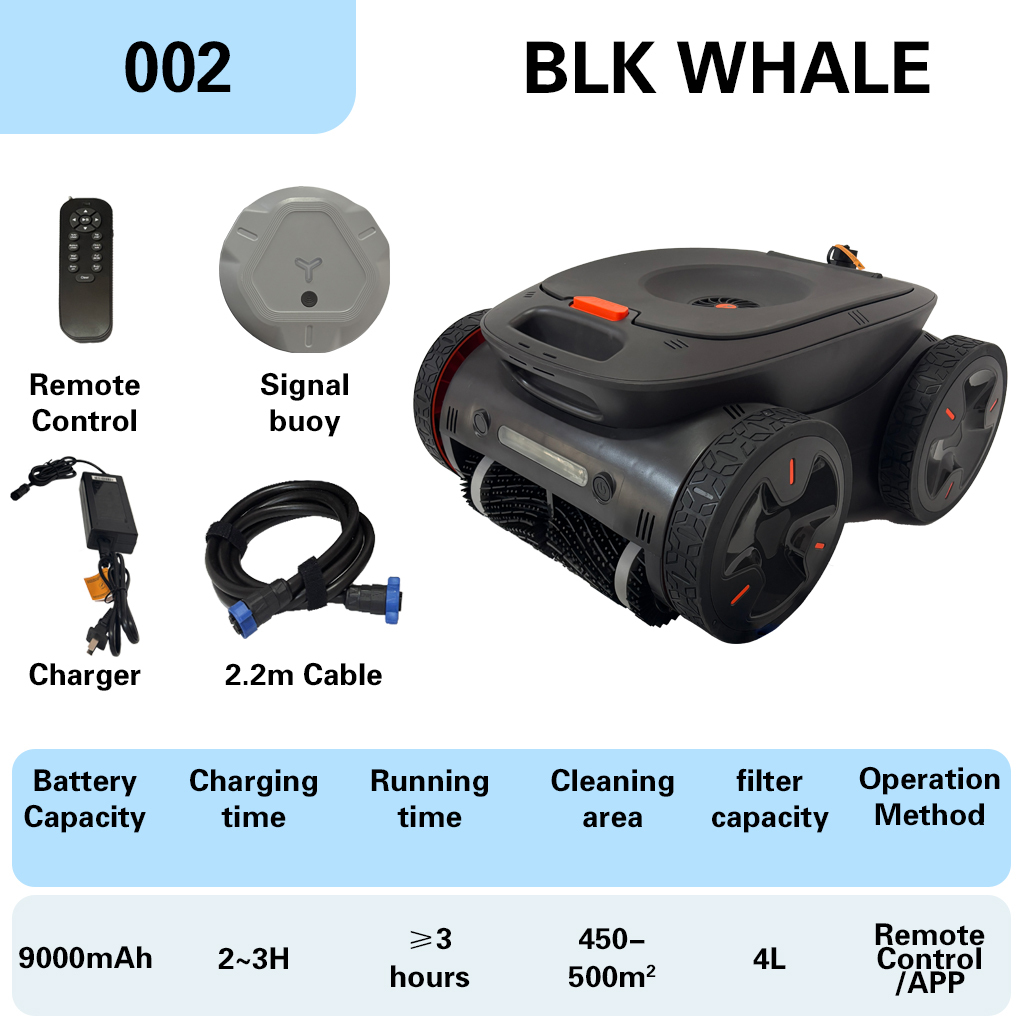002 # Baleine noire (Bouée de signalisation)