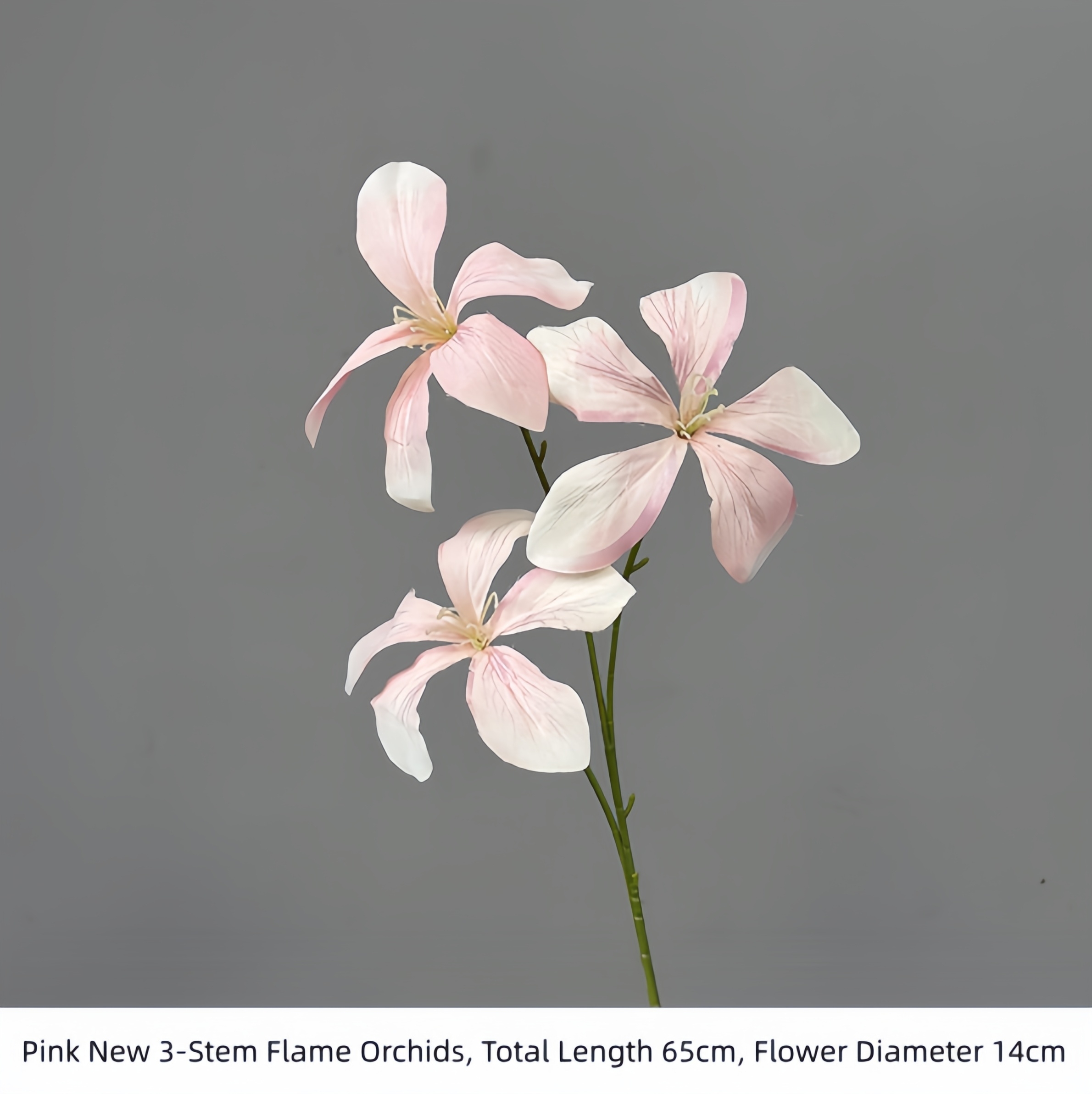 3-Stem Flame Orchi