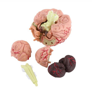 LHN025 scienza medica di insegnamento della struttura del cervello modello di anatomia staccabile 4D 32 parti del cervello umano - Product Image 4