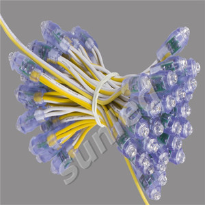 Tira de luces LED RGB o de un solo Color, IP65, para fiesta de boda - Product Image 5