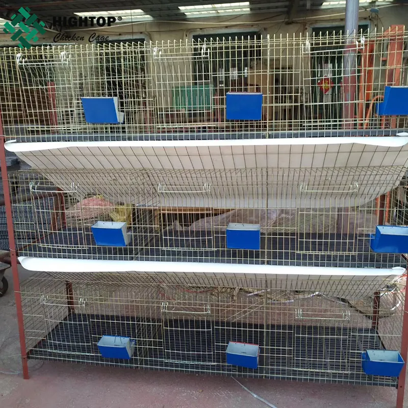 Cage pour élevage de lapin, accessoire d'extérieur pour éclairage Commercial, en maille, galvanisé, livraison gratuite