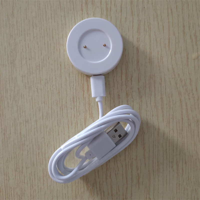 GT2 Chargeur Dock + câble-Blanc