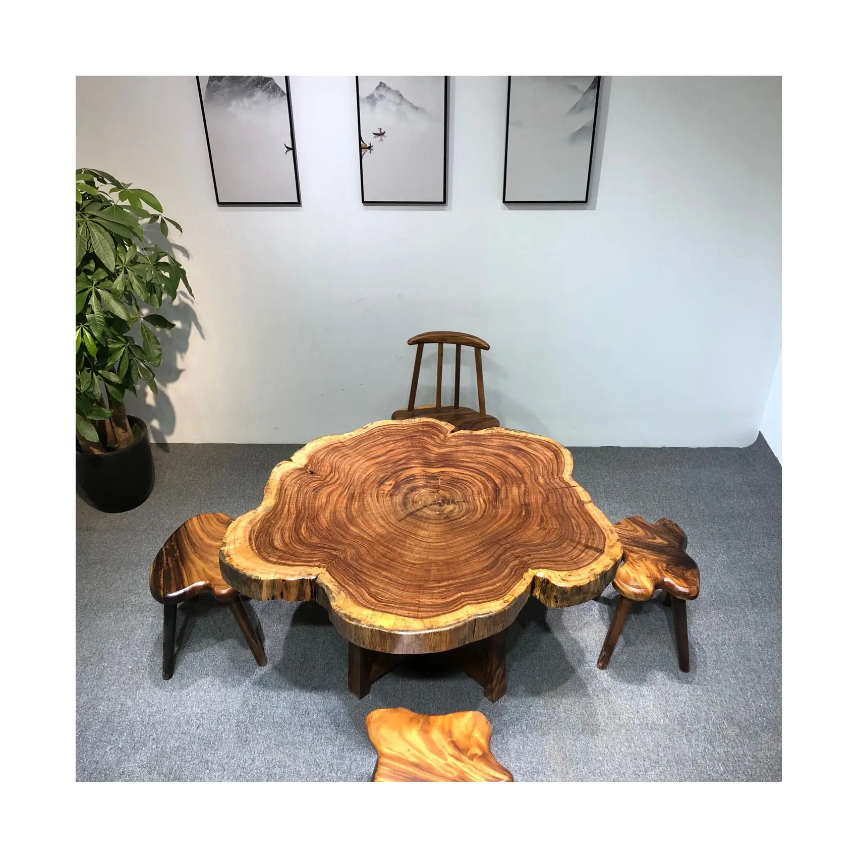 Sala de estar irregular em forma de árvore baixa, descarga de mesa de chá com borda ao vivo, baú de árvore, mesa de café de madeira sólida