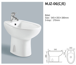 Medyag <span class=keywords><strong>OEM</strong></span>/ODM זגוגית סין עומד רצפה בידה אמבטיה אסלת אביזרי פרטי כביסה בידה
