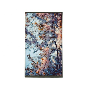 2K hohe auflösung 10.1 "1600x2560 Portrait display mipi dsi interface LCD display - Product Image 3