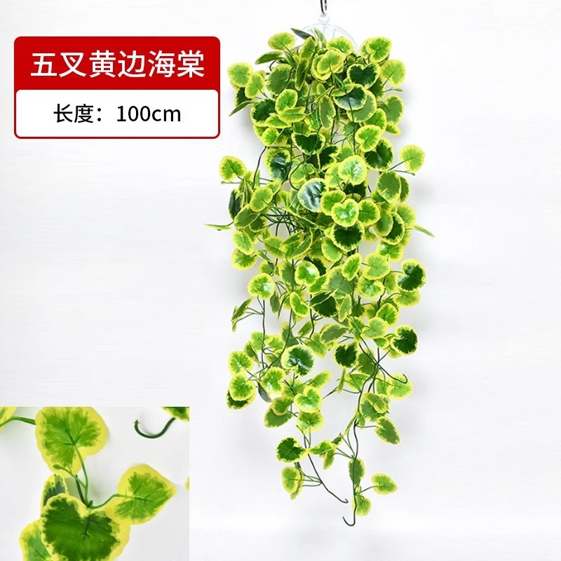 Colgante de pared de cinco puntas con hojas de begonia de borde amarillo.
