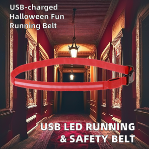 ハロウィーンやイースターの機会のためのUSB充電フックナイトランニング反射ベルト付き多機能LED発光ベルト - Product Image 2