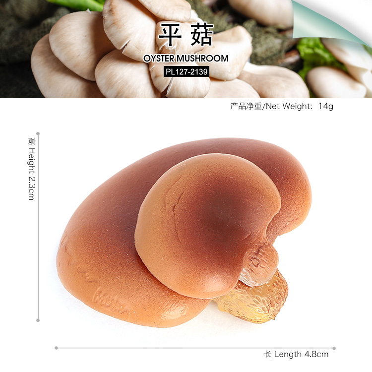 2139 Oyster Mushroom
