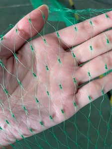 PE knoten loses Anti-Vogel-Netz Insekten netz für Reisfeld - Product Image 6