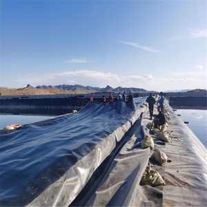 Kaliteli HDPE geomembran 1mm HDPE geomembran plastik yeni mağaza satış promosyonu geomembran astar - Product Image 2
