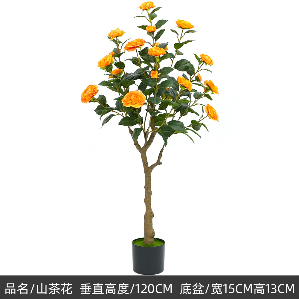 120cm camélia, orange