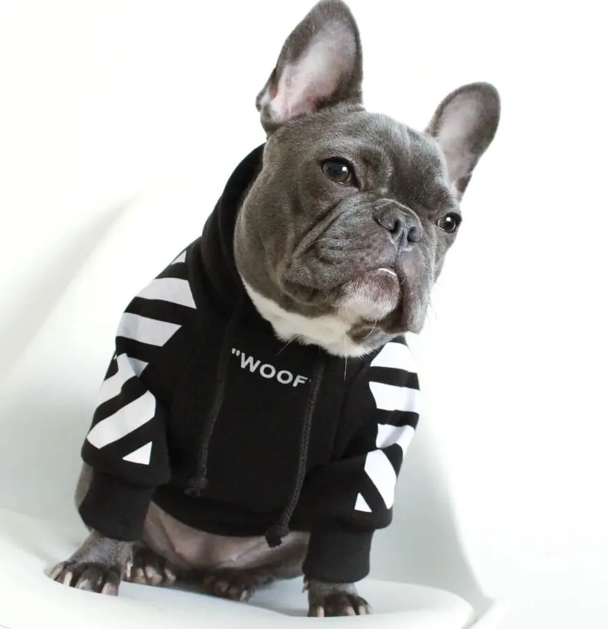 2023 nuovo arrivo abiti di design di lusso all'ingrosso forniture di abbigliamento per animali domestici vestiti per cani