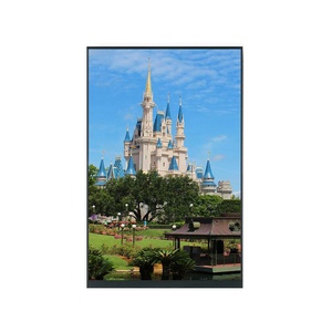 Custom 8,0 pulgadas TFT LCD Módulo Ips Lcd Tft Display Panel Module - Product Image 2