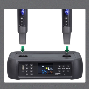 光输入防啸叫多通道数字信号处理器麦克风 - Product Image 6