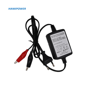 OEM 12 V araba pil şarj cihazı 12 V Motor akıllı hızlı güç şarj adaptörü Moto kurşun asit depolama hücre otomatik pil şarj - Product Image 2