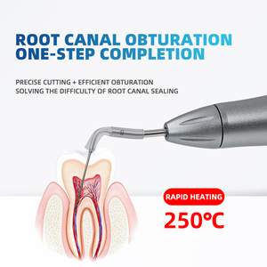 Sibodent Nieuwe Tandheelkundige Guttapercha Cutter & Obturatiepen: Snel Opwarmend, Draadloos, Met Tips Voor Wortelkanaalvulling & Therapie - Product Image 3