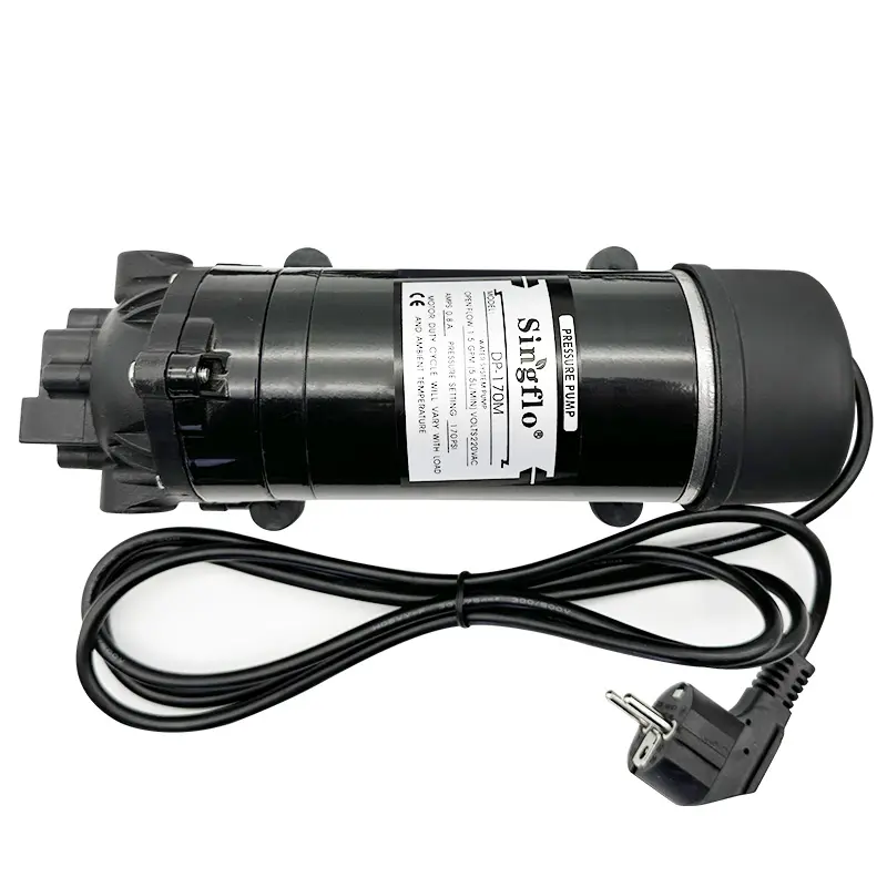Advanced DP-160s 5.5L/min car washing device high pressure 160psi small ac water pump