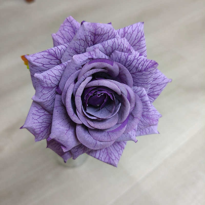 Pourpre