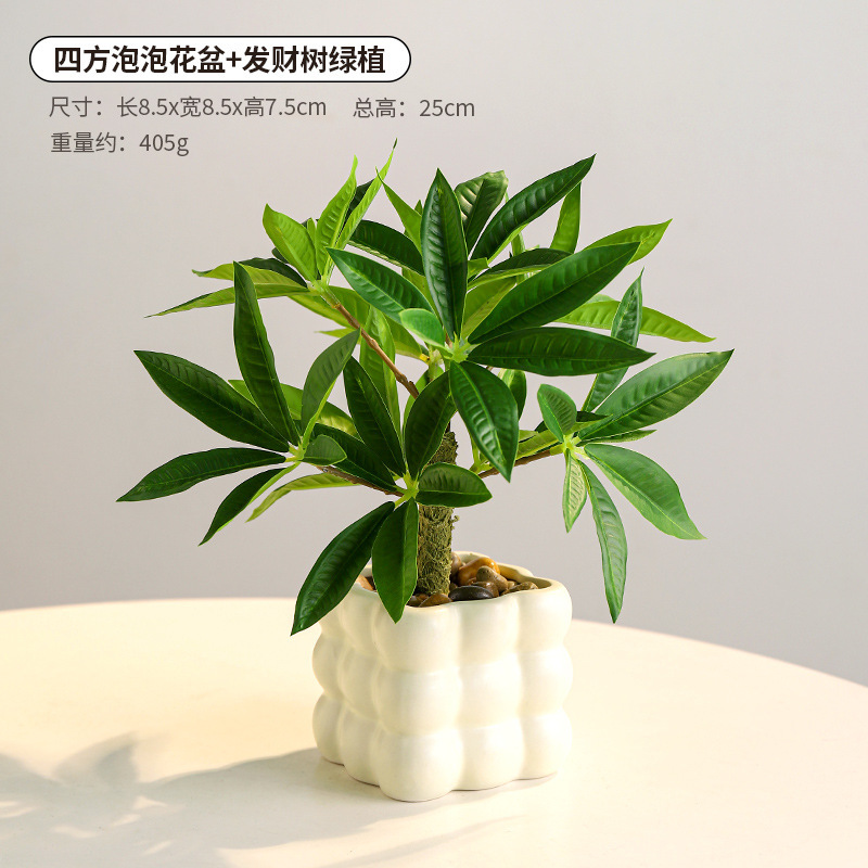 Quartet bubble flower pot fortune tree green planting