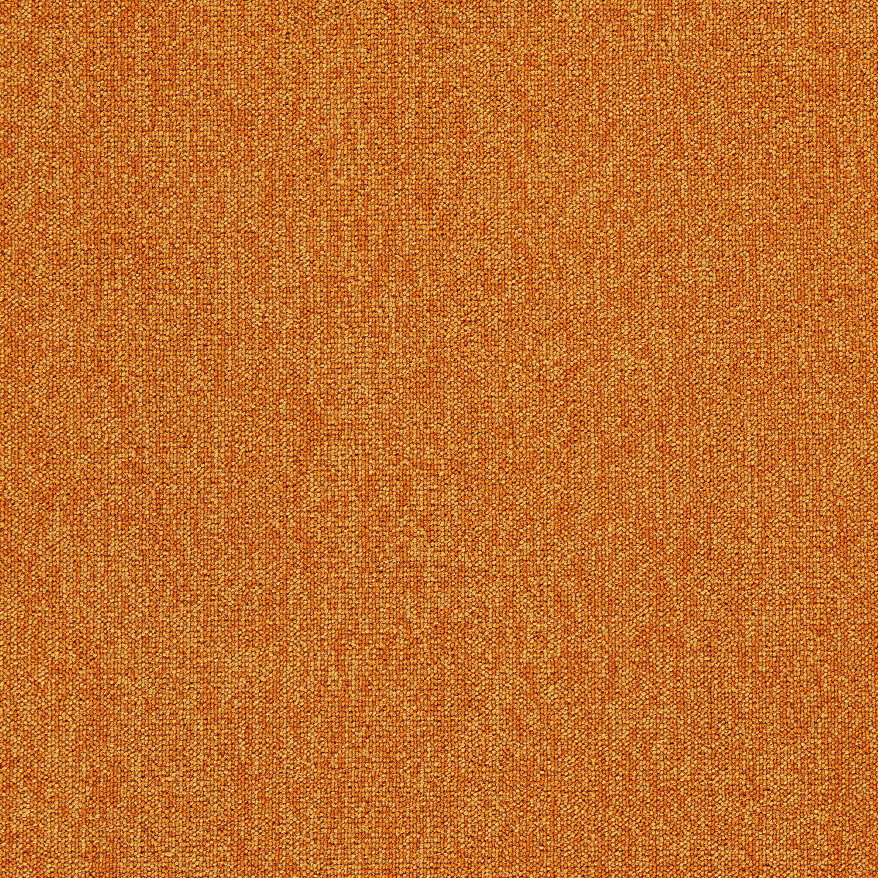 Orange12