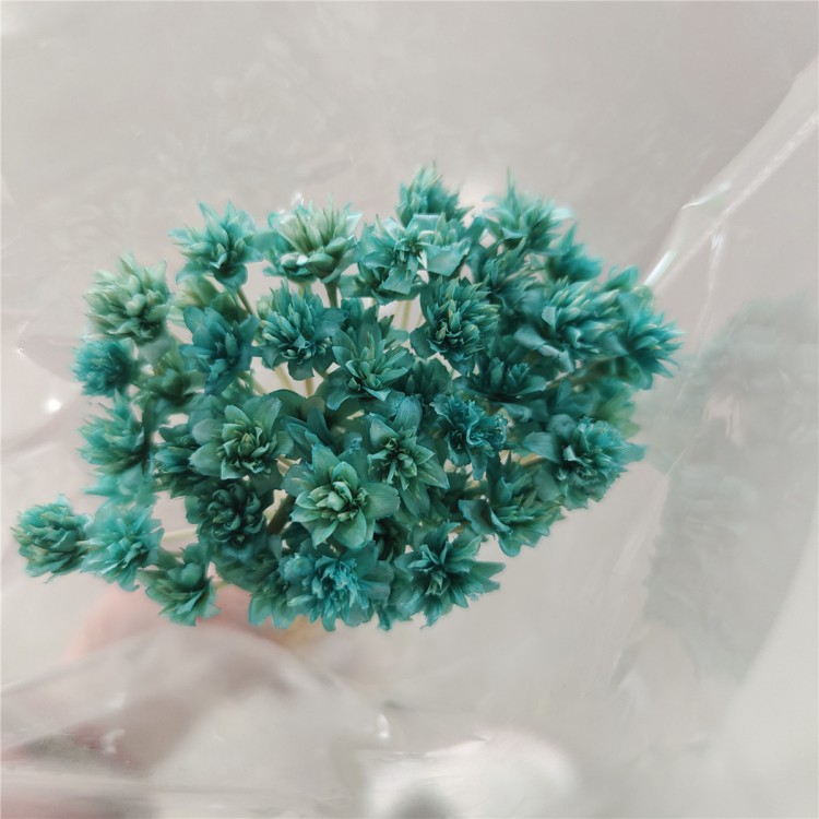 Menta