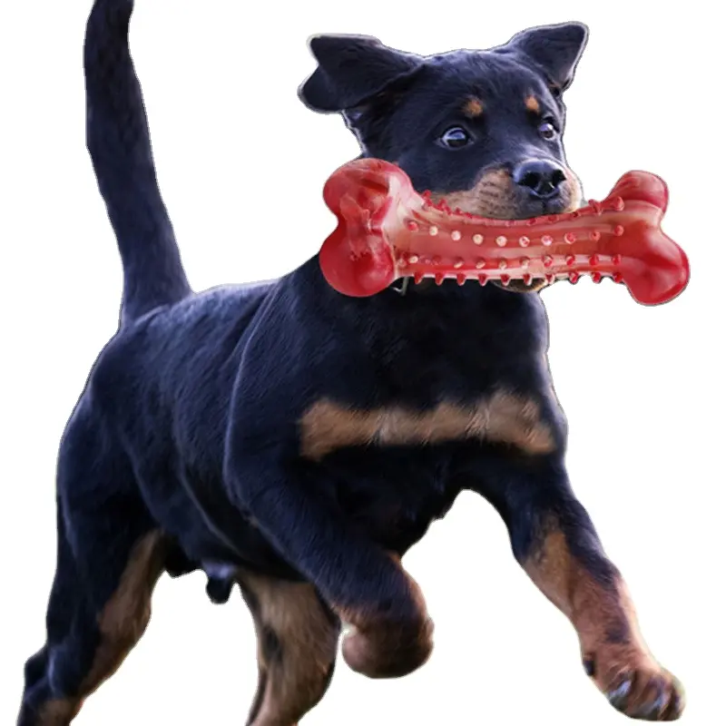 Mainan anjing hiburan interaktif pembersih gigi kunyah karet alami Gerinda tahan aus hewan peliharaan