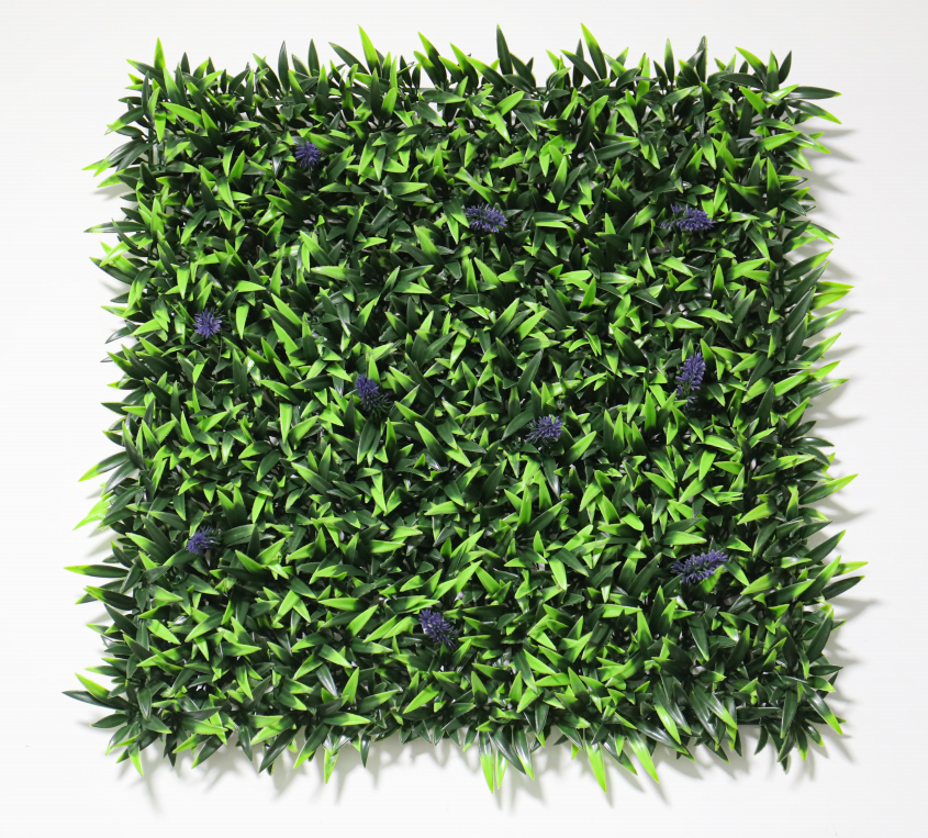 Grass