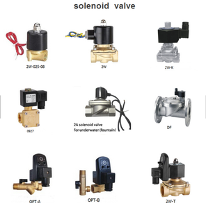 AC220 AC110 AC24 DC24 DC12V高压气瓶阀/气体控制阀在中国 - Product Image 2