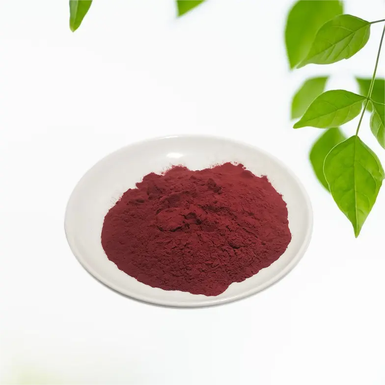 Beste Kwaliteit Lingonberry Extract Lingonberry Poeder