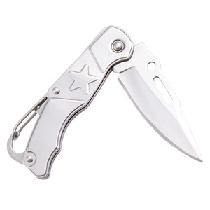 Giá Rẻ Giá Mini Edc Cắm Trại Ngoài Trời Survival Hai Tay Dao Thép Không Gỉ Keyring Nhỏ Gấp Dao Bỏ Túi - Product Image 4