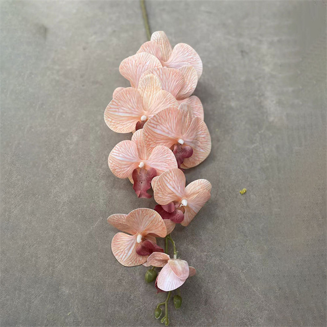 Nude Pink