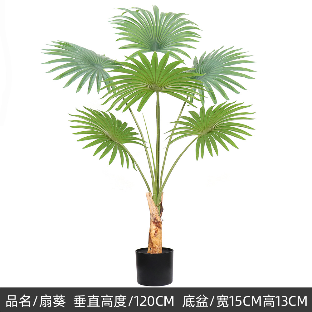 Plantes vertes 9